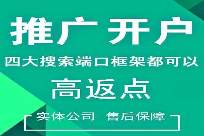 竞价端口开户全攻略，案例分析